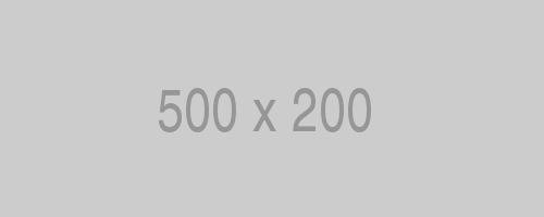 500x200